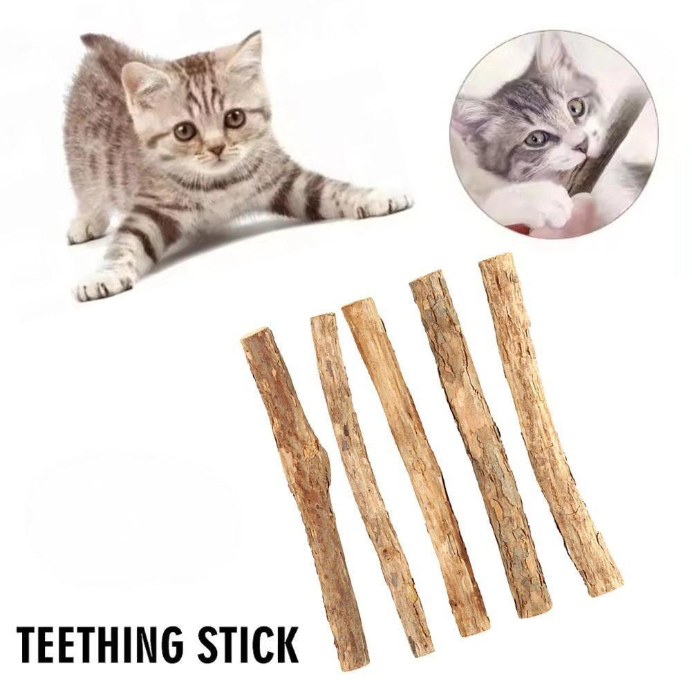 5-50pcs Catnip Stick Pet Cat Molar Toys Natural Wood Polygonum Sticks Cleaning Teeth Relieve Boredom Snacks Chews Toys