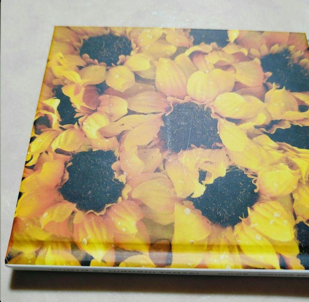 [USED] Hiroshi Tamaki COLOR Photobook Box, DVD, Collection, File, Memo, Poster