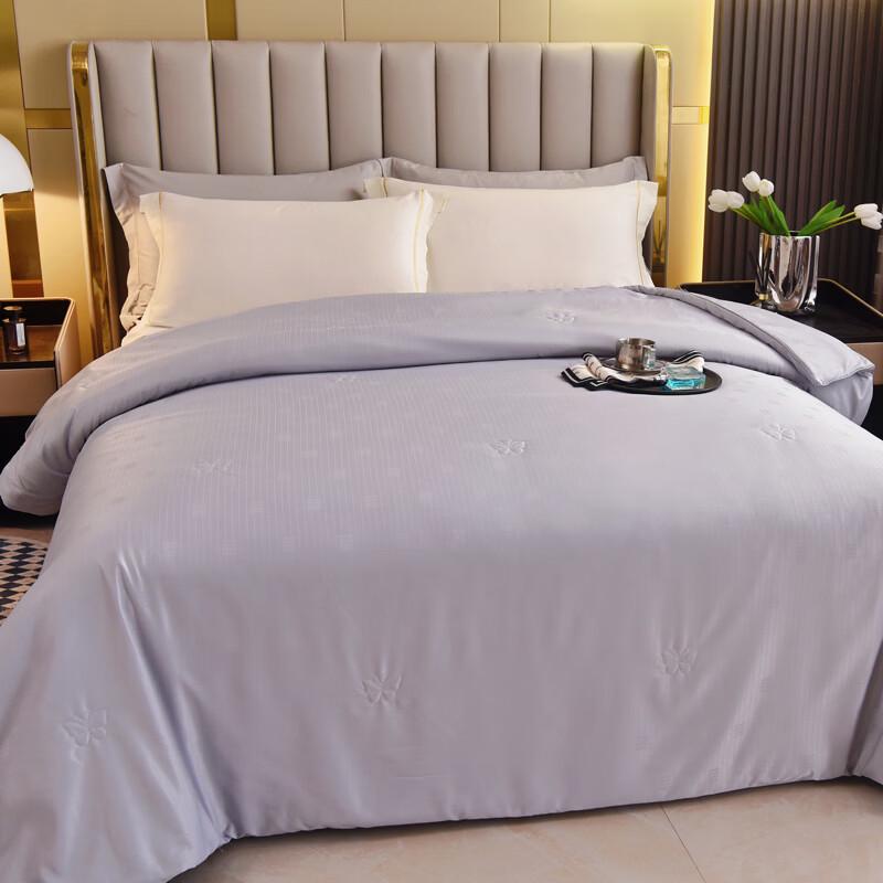 Lightweight Polyester Fiber Duvet Insert
