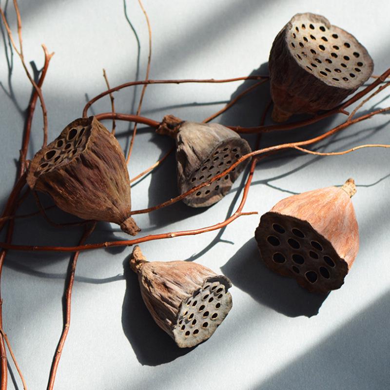 Natural Zen Style Large Lotus Head with Seeds, Dried Fruit, and Mini Lotus for Christmas Home Decoration.