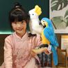Simulation Parrot Doll Plush Play Simulation Birds Macaw Cockatoo Ragdoll Simulation Animal