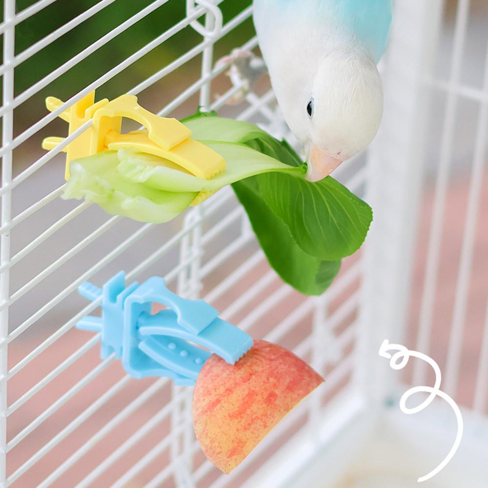 2/4pcs Set Pet Bird Food Holders Parrot Fruit Vegetables Clip Cuttlefish Bone Feeder Device for Pet Parrot Bird Cage Accessories