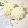 Double-Sided Bath Flower: Soft Foaming Net & Soap Holder Scrubber