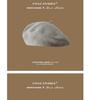 High-Quality Australian Wool Beret: Anti-Pilling, Korean Style, Solid Color, Retro Painter Hat for Girls