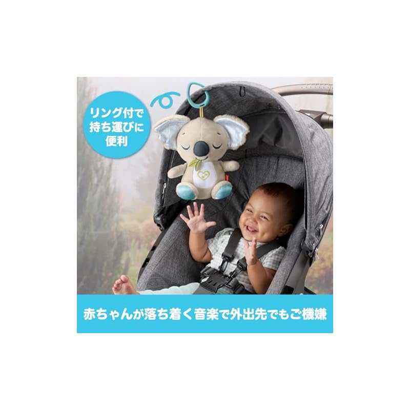 Fisher-Price Sleeping Koala Baby & Toddler Toy, Plush Toy, Ages 0+, Gray JBD65