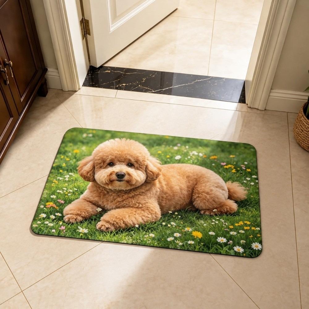 40*60cm Bathroom Carpet Corgi / Teddy Dog Floor Mat New Bedroom Door Small Rug Table Bedside