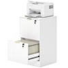 Filing Cabinet, Fluted Vertical File Cabinet with 2 Lockable Drawers and Hanging Rails, White
