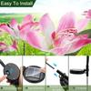 Solar Garden Lights Outdoor Solar Garden Lights with Orchid Flower Lights Waterproof Solar Lawn Lights for Garden Lawn Decor