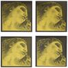 EVAH PIRAZZI GOLD Eva Pirazzi Gold Violin String Set String String Loop (G Gold) (E End)