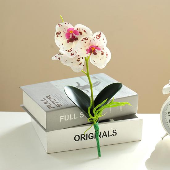 Useful Simulation Phalaenopsis Not Withered Luxury Decorate