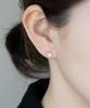 Alleun Silver 925 Cubic Round Bold Silver Earrings