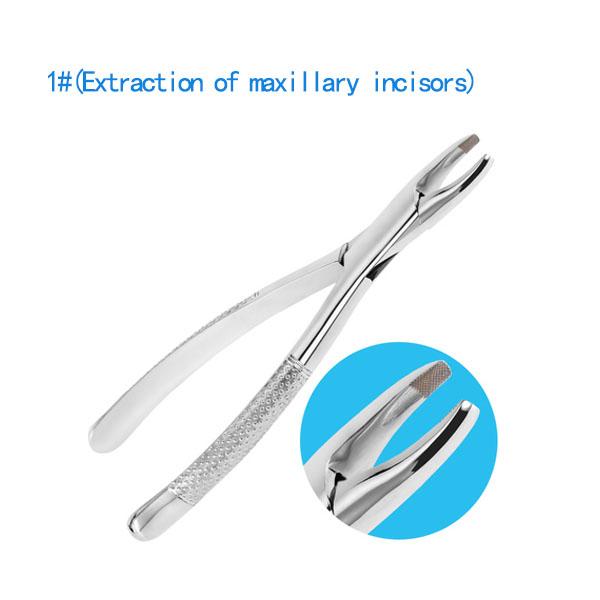 

Качественные щипцы для удаления зубов из нержавеющей стали для взрослых, инструмент для хирургии стоматолога 1#