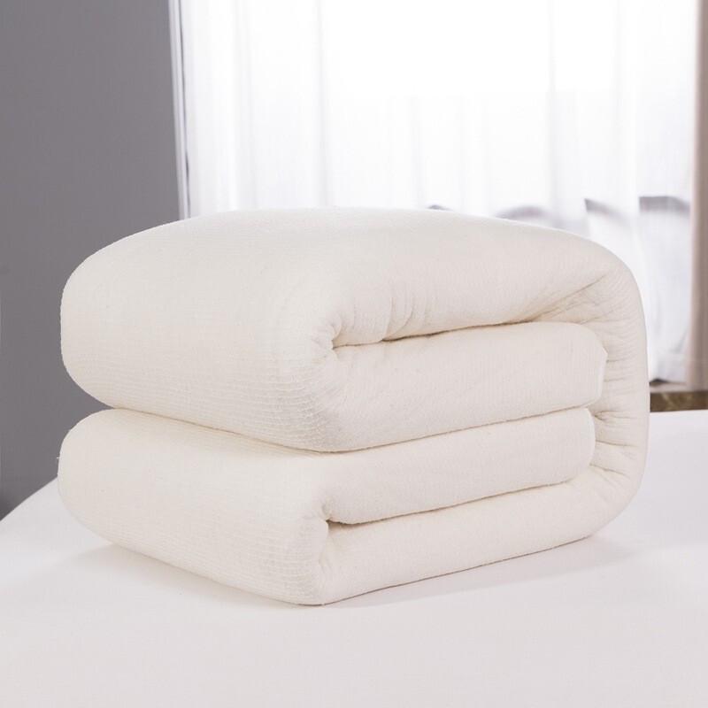 Jinxi Xinjiang Cotton Quilt