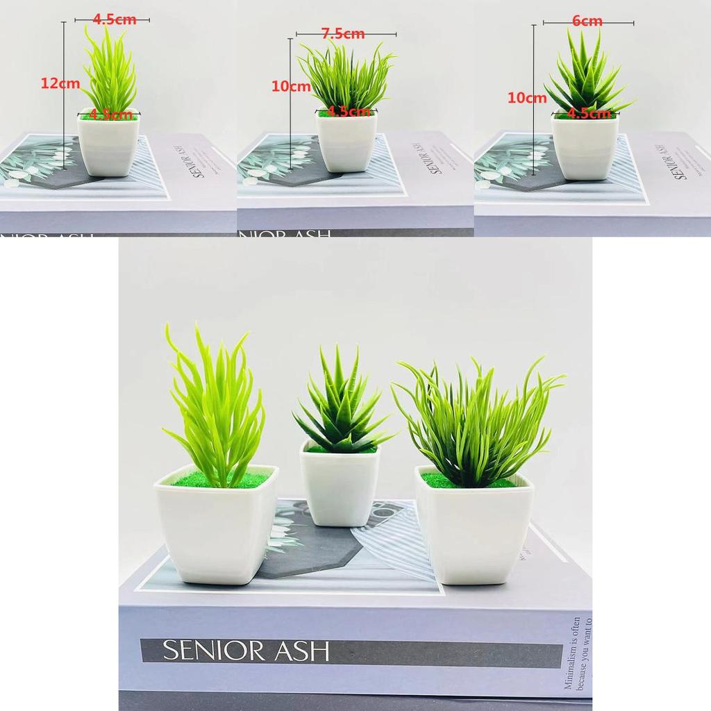 Simulierte Miniatur-Kaktussammlung mit Kunststoffmaterial für Schreibtischdeko und Geschenke