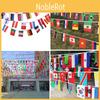 Eye-catching National Flag String For Party Decor In 100 Countries
