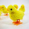 Wind-up Chick 9cm 12pcs | BD009342