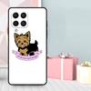 Cute Yorkshire Terrier Case For Samsung Galaxy M35 M56 M12 M06 M32 M52 M55 M15 M11 M13 M14 M16 M36 M31 M53 M34 M54