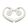 Cleer ARC II Music Edition Earphones