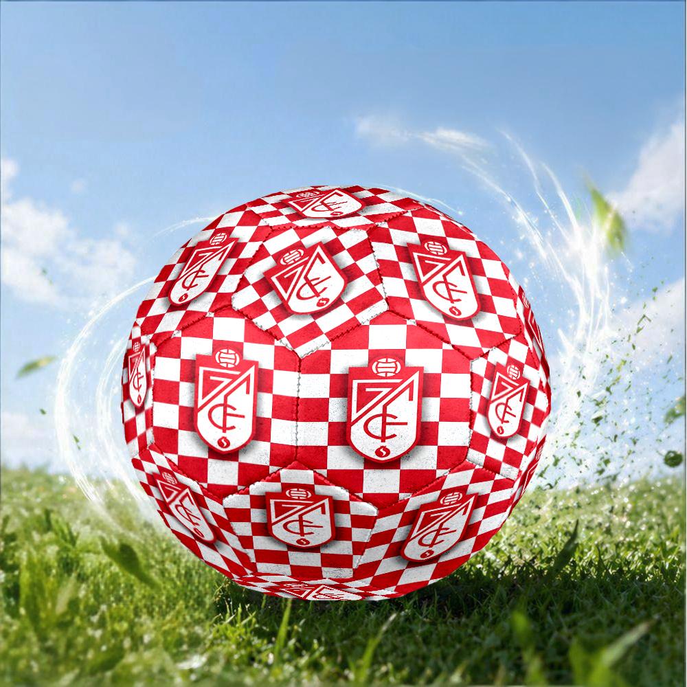 Global Unity And Strength Size 5 Soccer Ball,Indoor/Outdoor Suitable for Training Matches Tournaments Practice Games Perfect Gift for Fan