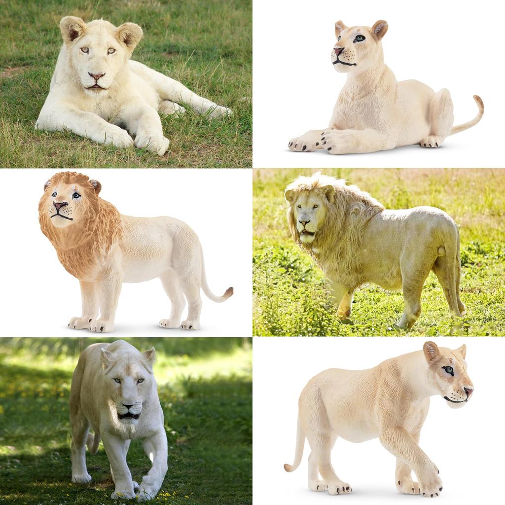 TOYMANY 6-Piece Lion Figure Set, White Lion Figures, Wildlife Models for Parents and Children, Realistic Animal Models for Home and Family Use,