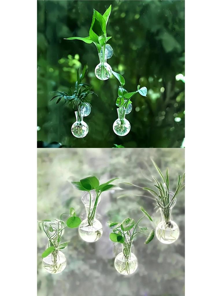 Wall-Mounted Hydroponic Glass Vase for Indoor Pothos and Money Plants, Transparent Decorative Planter for Home Windows