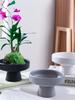 Modern Ceramic Tea Snack Plate with Fern Hydroponic Plant Holder