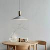 Nordic Minimalist Ceiling Pendant Light Simple Design LED Lighting LED Hanging Lamps Dimmable Lustre Finis Ceiling Chandelier