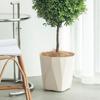 Plant Pot with Drainage Holes Decorative Planter with Matching Saucer Modern Flower Pot for Indoor Outdoor Use Pothos Aloe