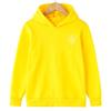 Children's hooded sweatshirts, fleece pullovers for spring and autumn, fashionable hooded tops for boys and girls, sportswear