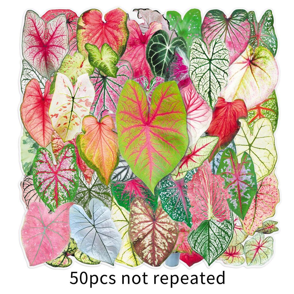 50 Colorful Caladium Leaf Stickers: Realistic Transparent PET for Scrapbooking, DIY & Phone Case Decor