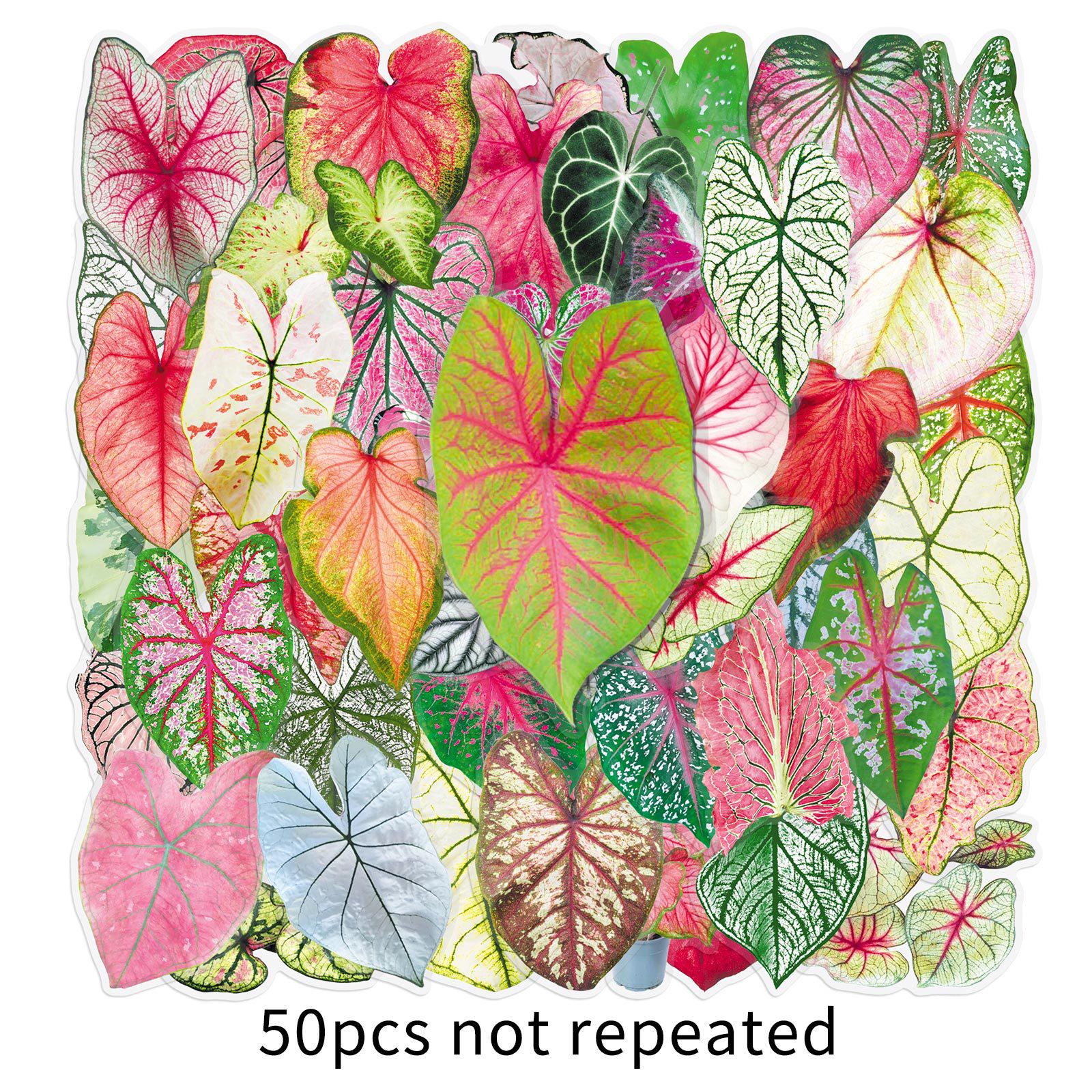 50 Листов Реалистичных Полупрозрачных Наклеек с Листьями Таро для Поделок своими Руками: Конверты, Шлемы, Чехлы для телефонов