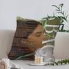 Charm Singer Clairo Pillow Cover For Bedroom Room And Living Room Sofa Decorative Cushion Cover