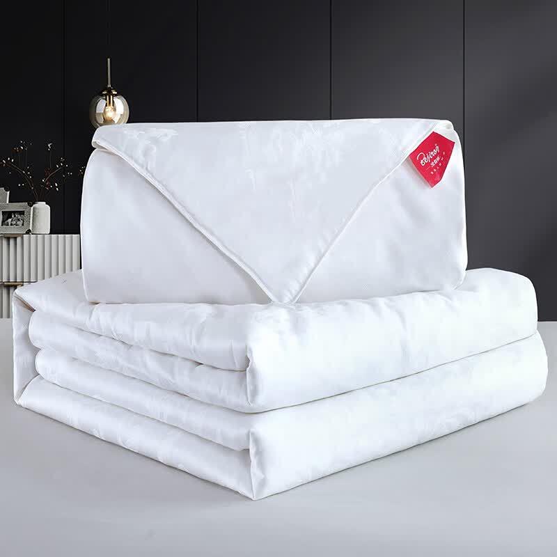 Bejirog Pure Tussah Silk All-Season Duo Comforter Set