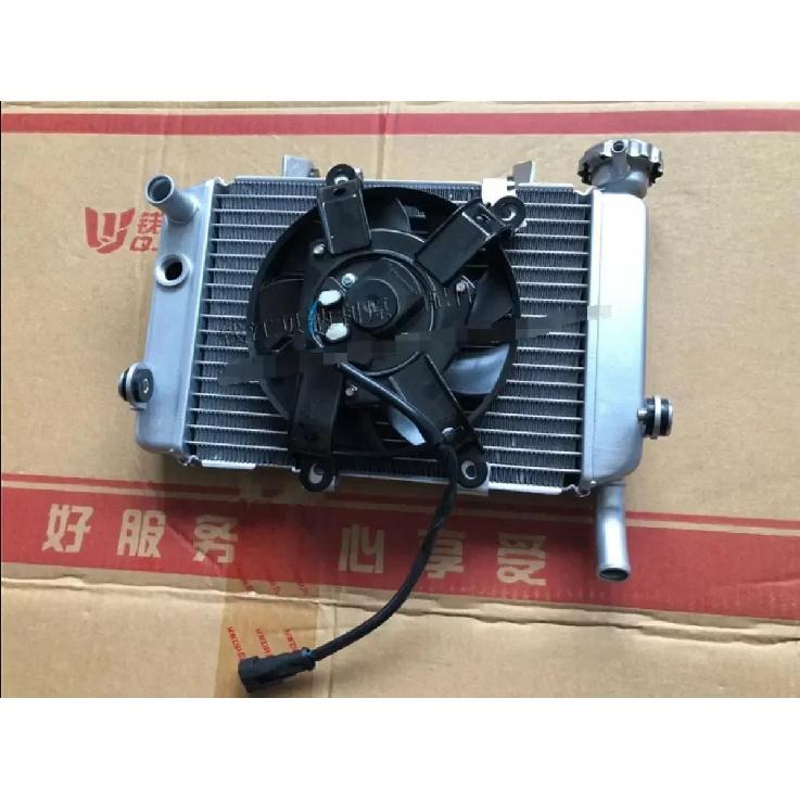 Radiator water cooling system water cooler of Benelli TNT250 BJ 250-15 15A 15E Benelli water tank