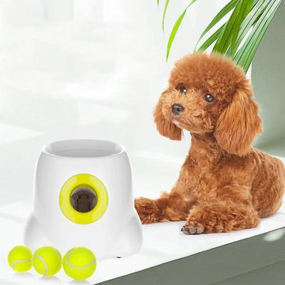 Hunde – Legetøj til hunde