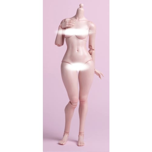 

TOYBARJAPAN 1/6 Scale Action Figure Worldbox AT202 White Skin Pale Skin Chubby Asian Female Body