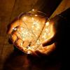 2M 5M 10M Battery Box LED Fairy String Lights Flexible Copper Wire for Christmas Wedding Anniversary Decor