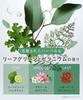 BOTANIST Body Scrub Dewy