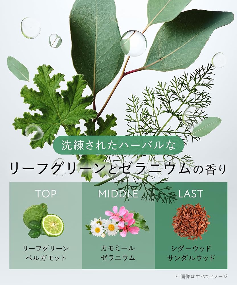 BOTANIST Body Scrub Dewy