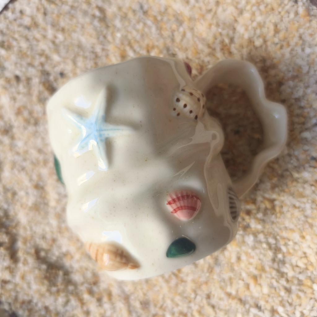 Cute Shell Conch Ceramic Cup Retro Ceramic Coffee Cup Dish Handmade Irregular Cup Dish with Handle Mug MilkKitchen Accessory