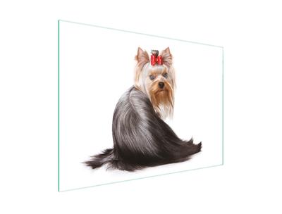 TAGLIERE IN VETRO 30x22 CANE