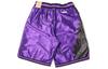 Nike Basketball Shorts Men's Purple Moderate DJ3875-560