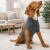 Stretchy Dog Recovery Suit Adjustable Dog Sanitary Jumpsuits  Menstruation Period