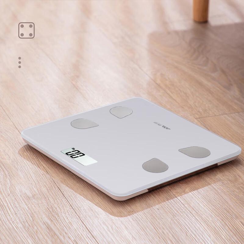 Xiangshan Smart Body Fat Scale