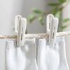12pcs/set Clothes Pegs Fixed Windproof Clip Laundry Clips Hanging Rope Multifunctional Windproof Towels Socks Clothespin Hangers