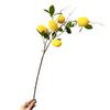 1PC Yellow 80cm