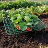 10/1Pcs Strawberry Rack Reusable Plant Support Strawberry Growing Racks Holder Plastic Support Frames Come With Legs And Bracket