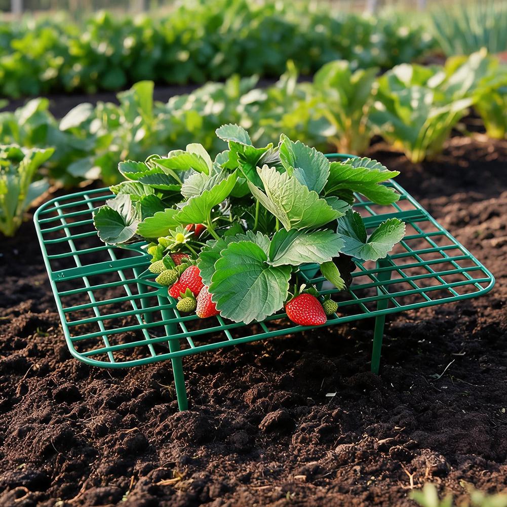 10/1Pcs Strawberry Rack Reusable Plant Support Strawberry Growing Racks Holder Plastic Support Frames Come With Legs And Bracket