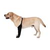 Dog Socks To Prevent Licking Paws with Anti-Slip Bottom Healings Boot & Paws Protectors Dog Sleeve Shoes for Lickings