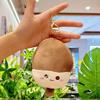 Cute Ice Cream Pendant Plush Toy Keychain - Mini Popsicle Bag Charm Doll